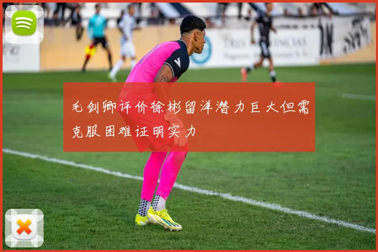 毛剑卿评价徐彬留洋潜力巨大但需克服困难证明实力