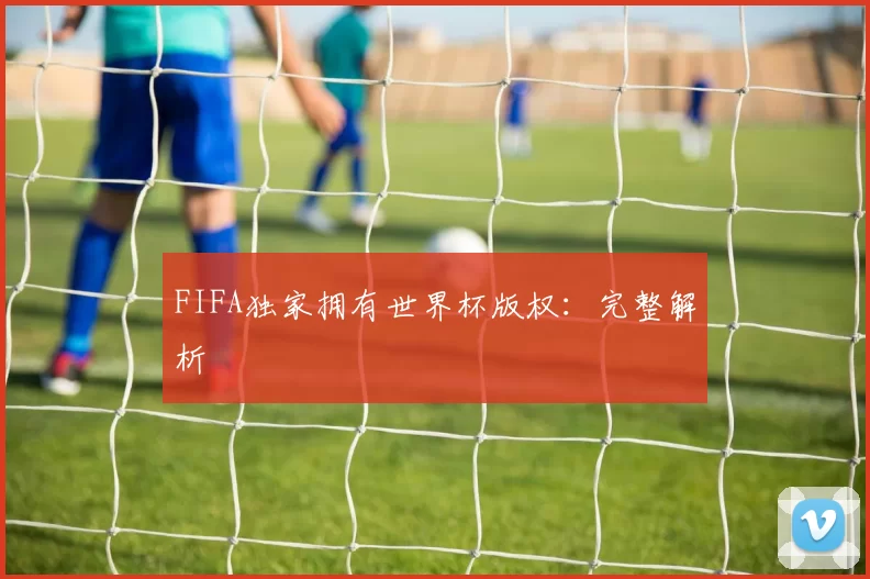 FIFA独家拥有世界杯版权:完整解析