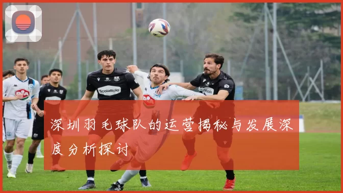 深圳羽毛球队的运营揭秘与发展深度分析探讨