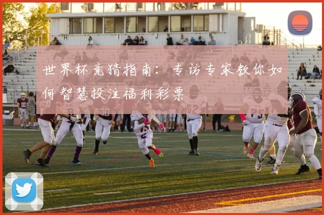 世界杯竞猜指南：专访专家教你如何智慧投注福利彩票