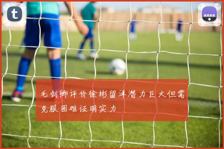 毛剑卿评价徐彬留洋潜力巨大但需克服困难证明实力