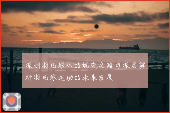 深圳羽毛球队的蜕变之路与深度解析羽毛球运动的未来发展