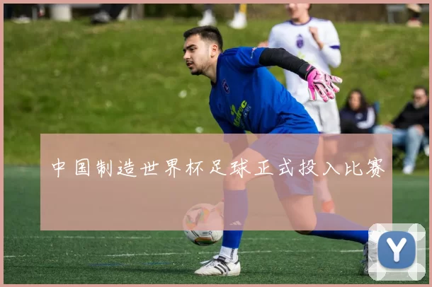 中国制造世界杯足球正式投入比赛