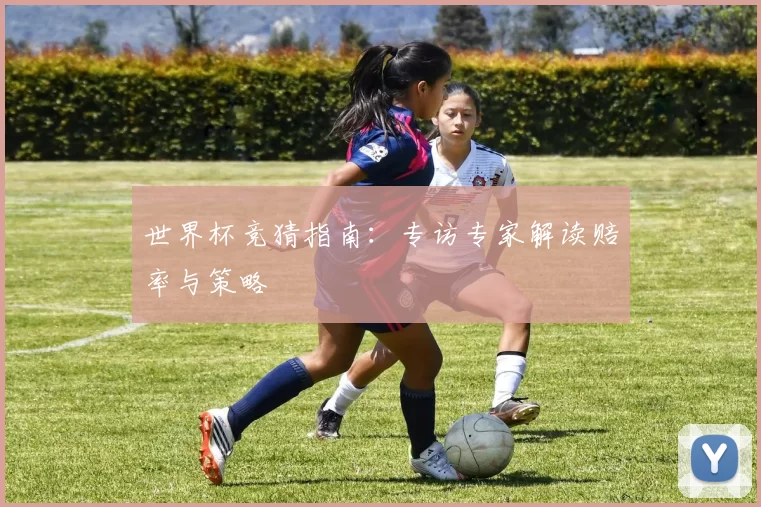 世界杯竞猜指南：专访专家解读赔率与策略