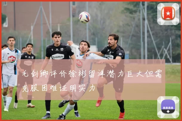 毛剑卿评价徐彬留洋潜力巨大但需克服困难证明实力