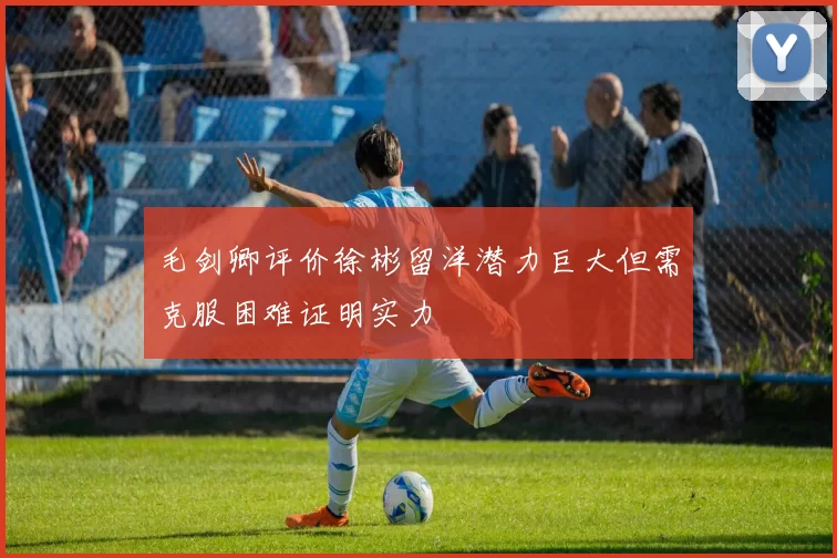 毛剑卿评价徐彬留洋潜力巨大但需克服困难证明实力