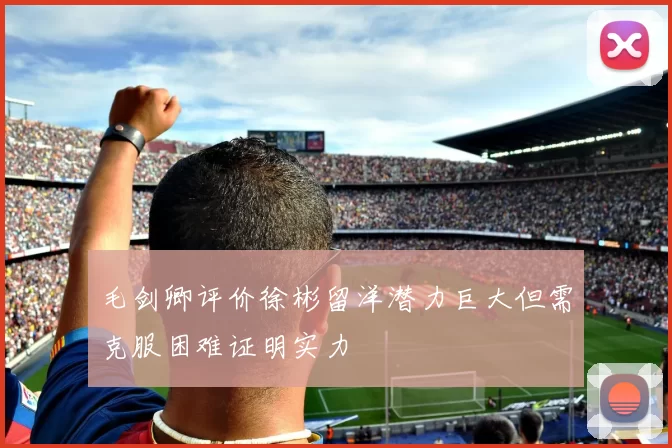 毛剑卿评价徐彬留洋潜力巨大但需克服困难证明实力