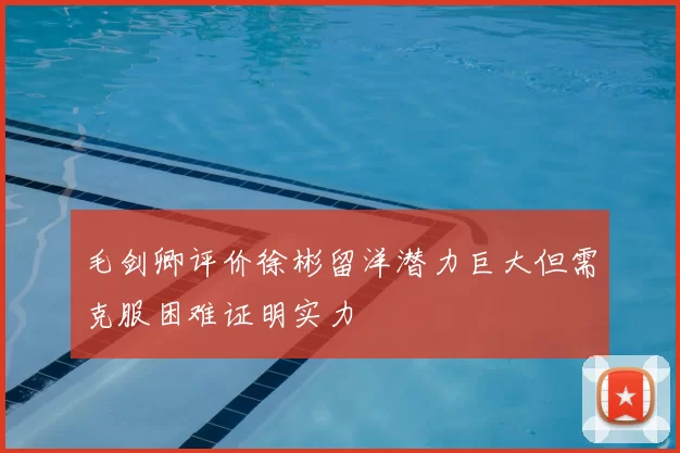 毛剑卿评价徐彬留洋潜力巨大但需克服困难证明实力