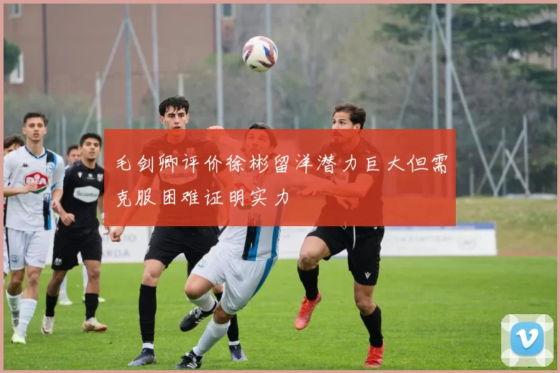 毛剑卿评价徐彬留洋潜力巨大但需克服困难证明实力