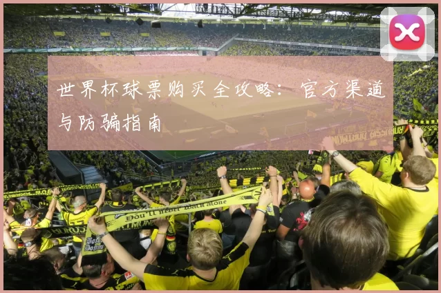 世界杯球票购买全攻略：官方渠道与防骗指南