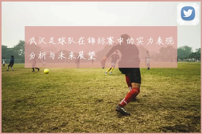 武汉足球队在锦标赛中的实力表现分析与未来展望