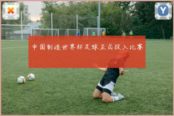 中国制造世界杯足球正式投入比赛