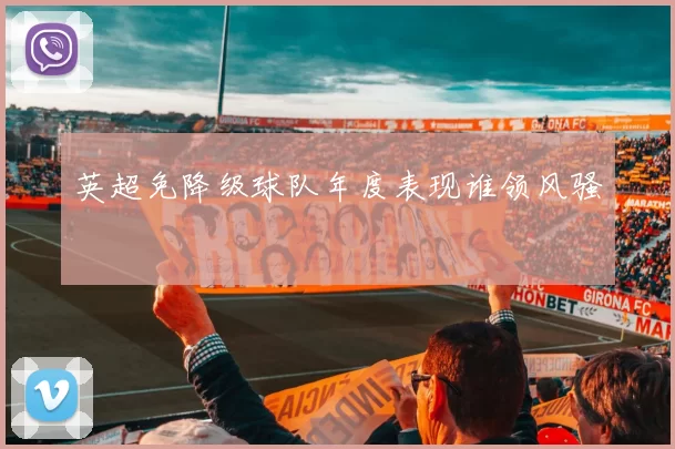 英超免降级球队年度表现谁领风骚